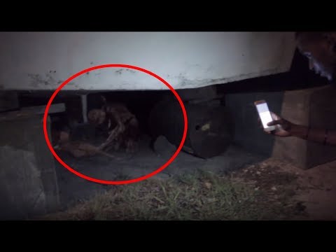 5 ECHTE AUFNAHMEN DIE EINEN KOBOLD ZEIGEN!