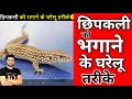 छिपकली को भगाने के घरेलु तरीके A2 Motivation Short
