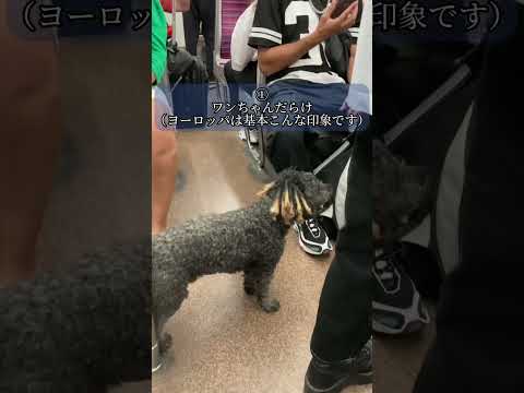 クレテイユ - レシャ (パリ地下鉄) - 定義