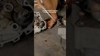 Download lagu story'wa herex helikopter #shorts mp3