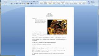 How to insert images into a word document.