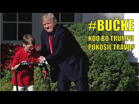 Bučke E46P05 - KDO BO TRUMPU POKOSIL TRAVO?