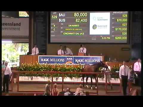2012 Gold Coast Yearling Sale Lots 521 - 540