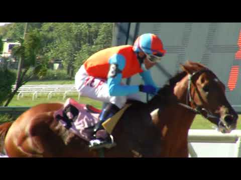 220320 c03 DISKRETO TRUMP