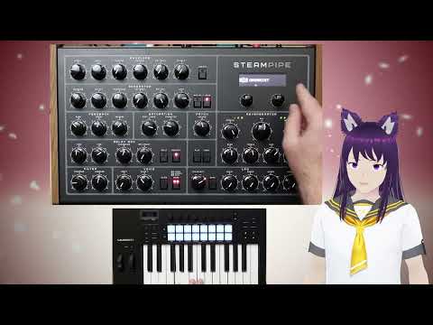 The Erica Synths Steam Pipe is amazing ! (my first look)