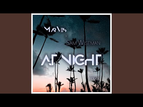 At Night (feat. Sam Wiseman) (Remix)
