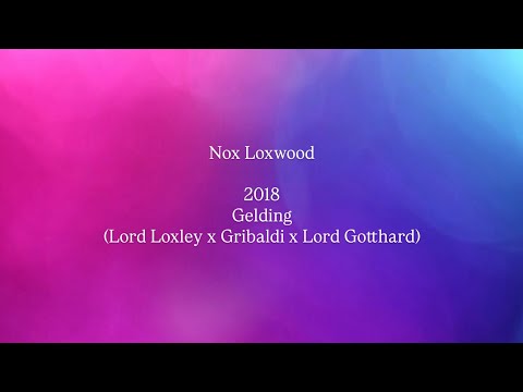youtube preview