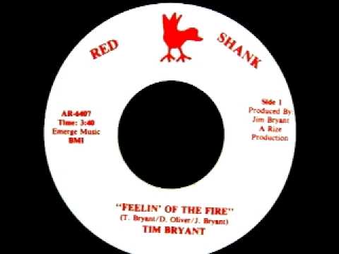 Tim Bryant - Feelin of the fire (1982)