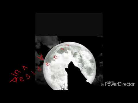 A vui presidenti-Pietro Pratticó