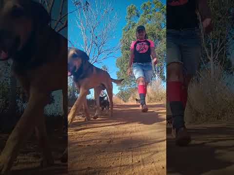 Caminhada sertaneja Comunidade Santa Rita município Vianópolis Goiás Brasil