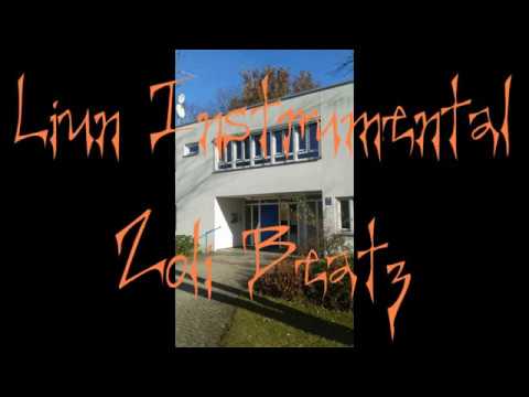 48. Liun Instrumental / Zoli Beatz - Ich denk an dich (R&B/ Rap Beat)