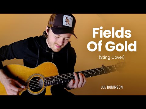 Fields Of Gold • Joe Robinson • Sting Cover
