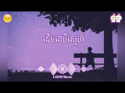 បទសេដ ដើមឈើស្នេហ៍ |ស្ដាប់បទ សេដ | [lyrics Sad]