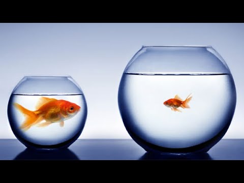 Big vs. Small Problems: Which are better to solve?