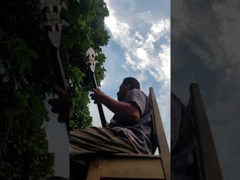 Arthur José-  50 " Salomão " ( Raimundo Irineu Serra)