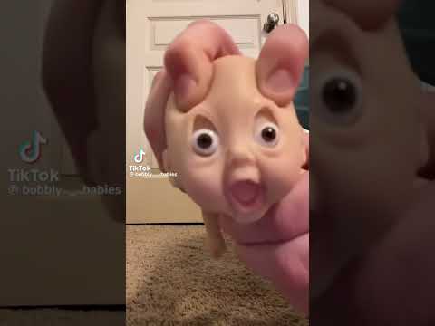 I’m an eagle video credit to Mr.bubbly