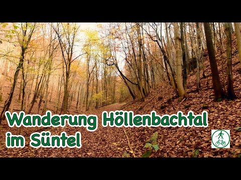 Wanderung Höllenbachtal 2,5h im Süntel auf dem Weserberglandweg