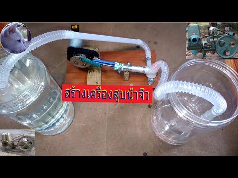 ยาบางอย่างเพิ่มสมาชิก อาหารแรงชาย