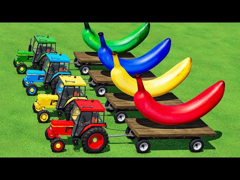 TRANSPORT  BANANA & WATER TANKER WITH JOHN DEERE & COLORED TRAILERS & TESLA TRUCK! FS22