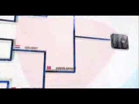 ESWC 2007 day 3 (www.acgroup.pt.vu)