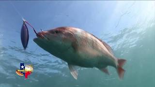 2018 | Texas Insider Fishing Report - Season 2, Episode 13