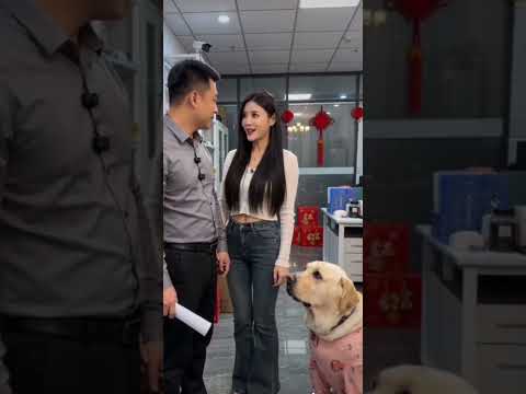 可愛的狗狗撒嬌被主人打 ！以後在也不學主人了😂#搞笑 #狗狗 #可愛  #上熱門 #狗都成精了 #全村最靚的仔