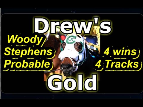Drew's Gold  All Career Starts Woody Stephens Undefeated 4-0