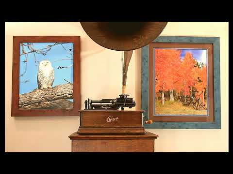 "Davy Jones's Locker" Bass Fred East on Edison Blue Amberol cylinder record 3931