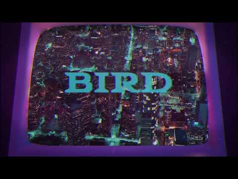 Pronto - Bird (Lyric Video)