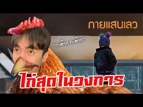 ฟีฟาย