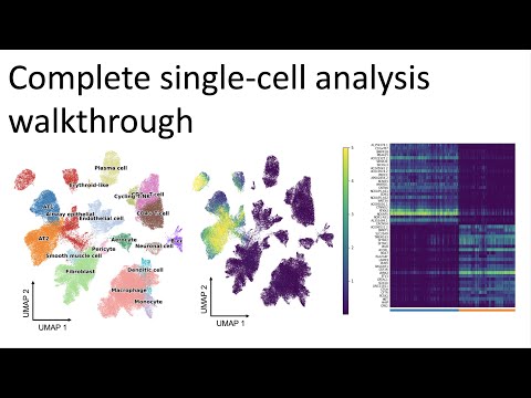 Complete single-cell RNAseq analysis walkthrough | Advanced introduction