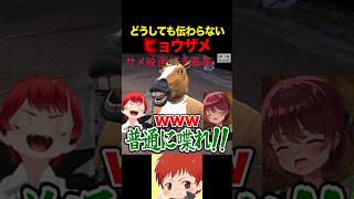 ヒョウザメでつまづく牛 #赤髪のとも #surgetown