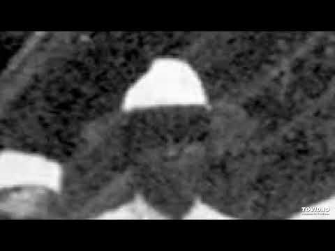 06. SENHORA MÃE SANTÍSSIMA - Germano Guilherme