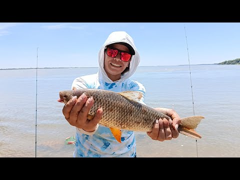 Buena pesca de Bogas y Salmones en Paso de la Patria, con el Rio Paraná muy crecido.
