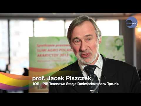 Prof. Jacek Piszczek, IOR-PIB, TSD w Toruniu -- Problemy z przędziorkiem w uprawie buraka cukrowego