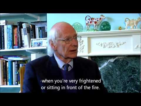 Embracing Death - official trailer