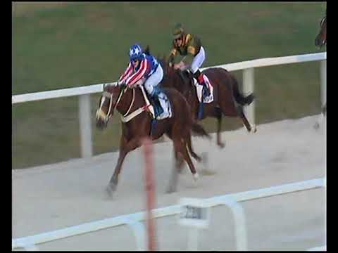 Ypsilon King HP 1400m