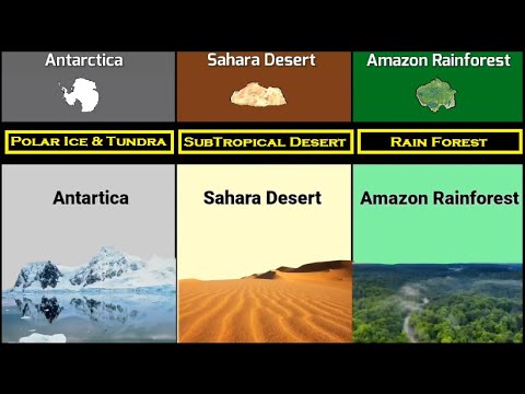 Amazon Vs Sahara Vs Antarctica | Amazon Rainforest | Sahara Desert | Antarctica | Full Comparison |