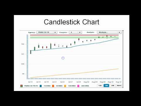 Daily Market Report August 12