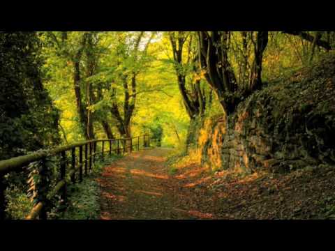 Hear Me - Mike Koglin