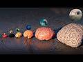 Monster Brain Size Comparison EL GRAN MAJA Vs SEA EATER