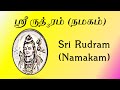 ஸ்ரீ ரூத்₃ரம் நமகம் Sri Rudram Namakam Tamil Script Yajur Veda Per