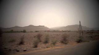 Great Wide Open - Jungle By Night