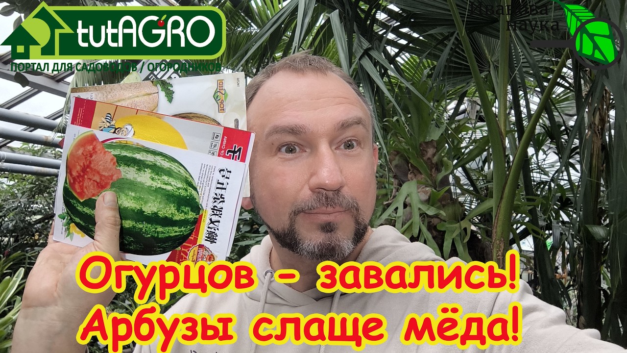 УЖЕ ПОРА! Хотите море огурцов и гору арбузов? Сейте именно так! 3 правила для м