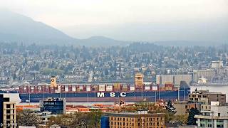 MSC FLORIDA Arrives Vancouver | Massive & Unusual Container Ship | Tankers & Cargo Traffic