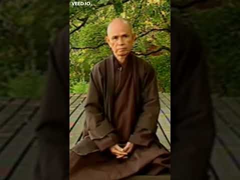 What is Buddhist Meditation | Thich Nhat Hanh | Plum Village #Shorts