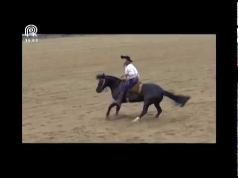 Grande Final – 2° lugar fêmeas – BT Basteira