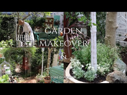 キノコの季節に最適なヒント 庭の練習