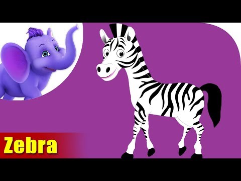 Zebra Rhymes, Zebra Animal Rhymes Videos for Children