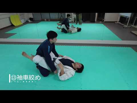 【高専柔道　寝技シリーズ　２．下からの関節技・絞め技　後半編6選】